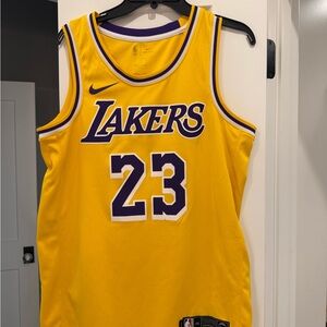 Lebron James Nike Dri-FIT Yellow and Purple Jersey